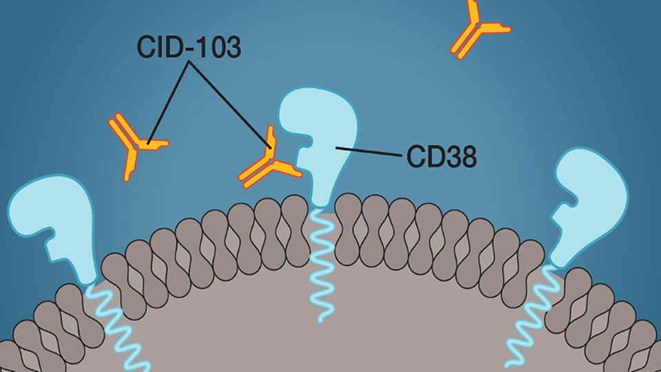 CASI已完成研究性药物CID-103一期临床试验首例患者给药，用于治疗复发和难治性多发性骨髓瘤